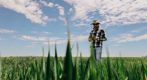 Grad Student standing in wheat field